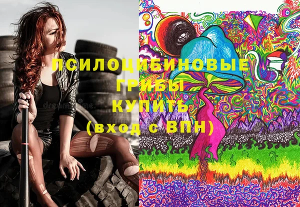 ECSTASY Абаза