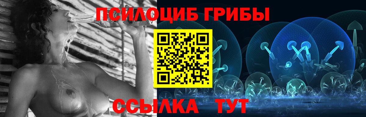 Северодвинск  Галлюциногенные грибы прущие грибы  Вход с VPN 